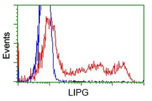 LIPG / Endothelial Lipase Antibody (clone OTI1D9, Carrier-free)
