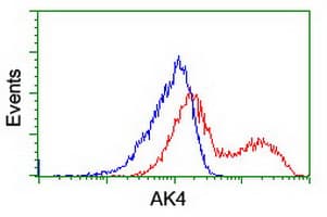 AK4 / Adenylate Kinase 4 Antibody (clone OTI3A9)