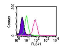 TLR2 Antibody (clone TL2.1, PE)