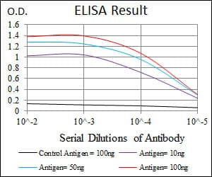 Monoclonal Mouse anti-Human FZD5 / Frizzled 5 Antibody (clone 2D12, WB)