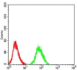 Monoclonal Mouse anti-Human CHRNA6 Antibody (clone 5B6G8, IHC, WB)