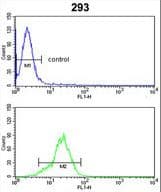 PRDX1 / Peroxiredoxin 1 Antibody (aa88-116)