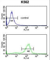 Polyclonal Rabbit anti-Human SDS Antibody (aa1-30, WB)
