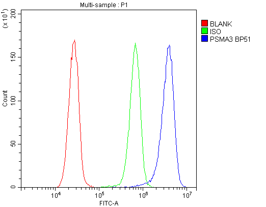 PSMA3 Antibody