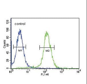 NPFF Antibody (aa86-113)