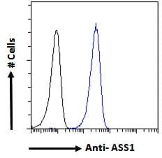 IHC-plus™ ASS1 / ASS Antibody (aa196-212)