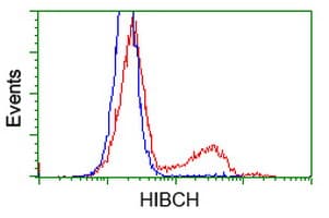 HIBCH Antibody (clone 5C5, Carrier-free)