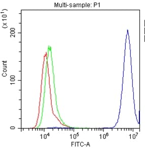 Basigin / Emmprin / CD147 Antibody