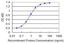 NDUFA8 Antibody (clone 2E10)