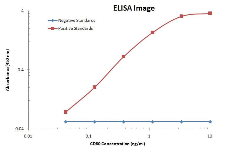 Monoclonal Mouse anti-Human CD80 Antibody (clone OTI1G9, WB)