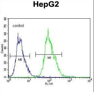 OR4K5 Antibody (aa284-313)