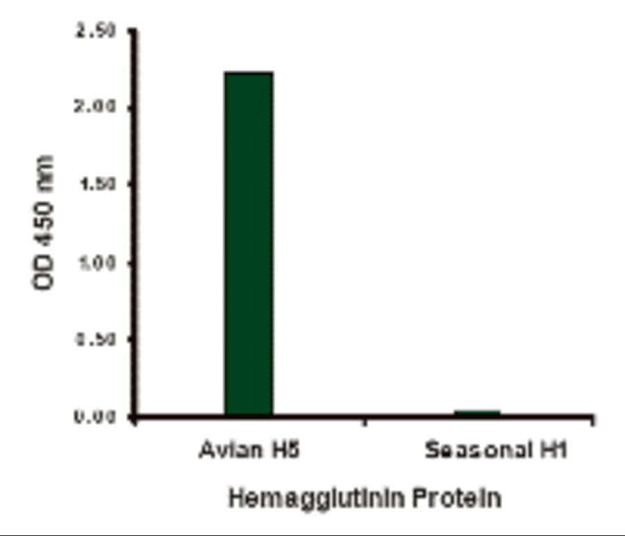 Influenza A Virus Hemagglutinin Antibody