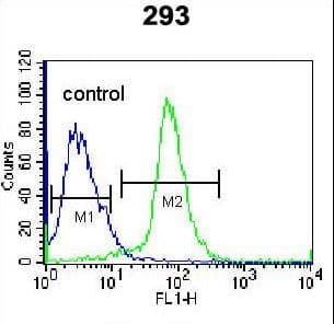 EPGN / Epigen Antibody (aa24-51)