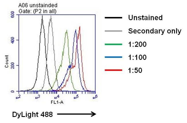 IL6 / Interleukin 6 Antibody