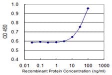 IHC-plus™ CD66a / CEACAM1 Antibody (clone 2F6)