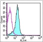PECAM-1 / CD31 Antibody (clone 390, FITC)