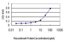 GAPDHS / GAPDS Antibody (clone 2E3-2E10)