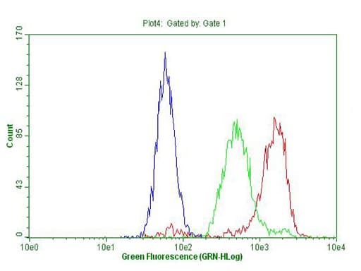 MEIS1 Antibody (aa176-390, clone OTI1B4, Carrier-free)
