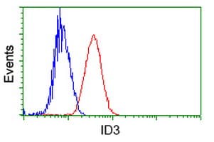 Monoclonal Mouse anti-Human ID3 Antibody (clone OTI8B3, IHC, IF, WB)