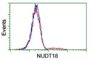 NUDT18 Antibody (clone OTI1A5)