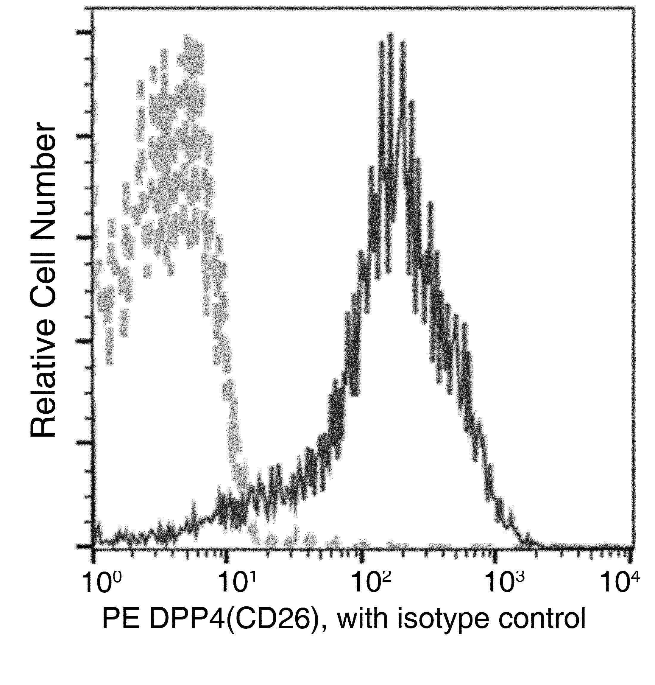 DPP4 / CD26 Antibody (clone 007, PE)