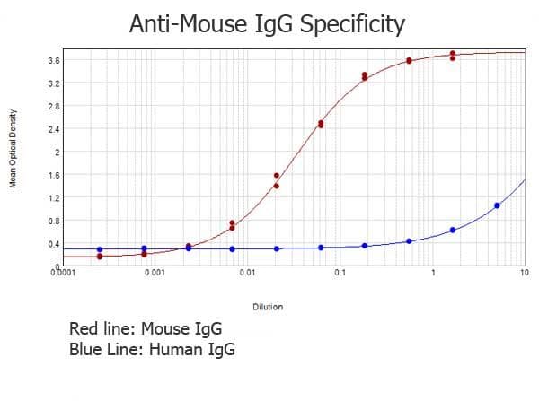 Rabbit Anti-Mouse IgG Secondary Antibody