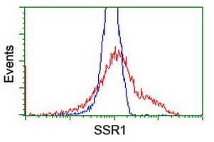 SSR1 Antibody (clone OTI4H6, Carrier-free)