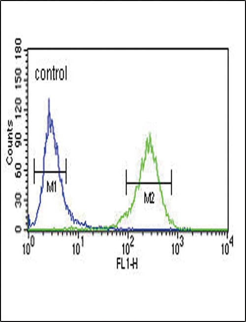 AHR Antibody (aa555-582)