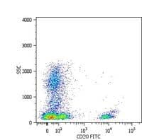 CD20 Antibody (clone LT20, APC)