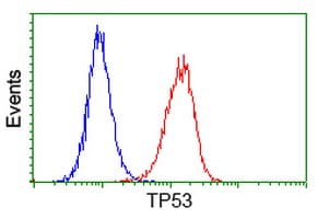 TP53 / p53 Antibody (clone OTI1D8)