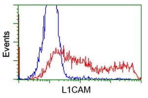 Monoclonal Mouse anti-Human L1CAM Antibody (clone OTI1D12, IF, WB)