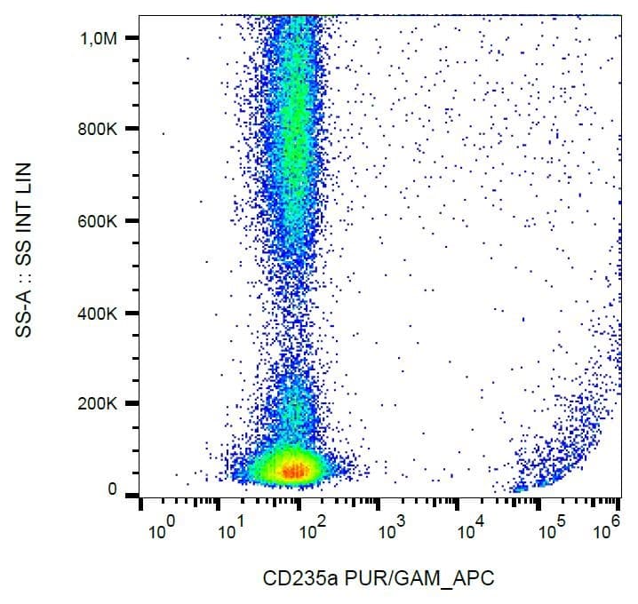 PathPlus™ Monoclonal Mouse anti-Human GYPA / CD235a / Glycophorin A Antibody (clone HIR2, N-Terminus, IHC)