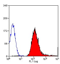 MHC Class I RT1Ac Antibody (clone OX-27, FITC)