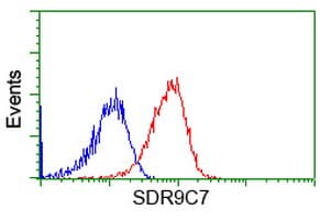 SDR9C7 Antibody (clone OTI6A8)