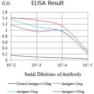 LRP12 Antibody (clone 4E11C5)