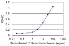 Monoclonal Mouse anti-Human ZBP1 Antibody (clone 2C10, IHC, WB)