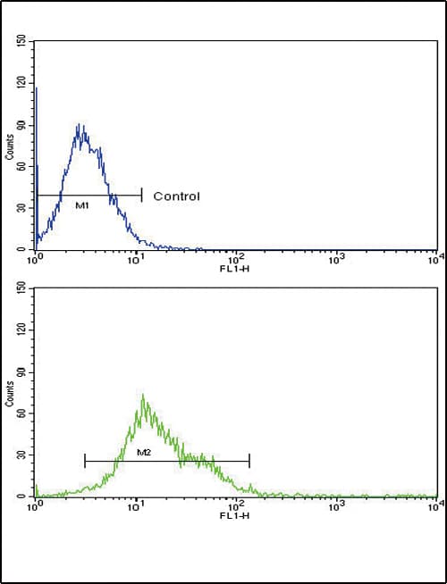 IHC-plus™ ALOX12 / 12 Lipoxygenase Antibody (aa618-650)