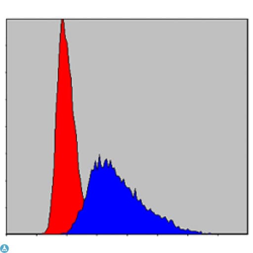 Monoclonal Mouse anti-Human ITK / EMT Antibody (IF, WB)