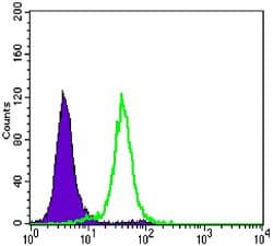 Monoclonal Mouse anti-Human CDH1 / E Cadherin Antibody (clone 7H12, IHC, WB)