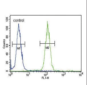 NCOA7 Antibody (aa76-103)