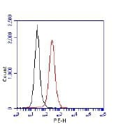 TP53BP1 / 53BP1 Antibody (aa350-400, DY488)