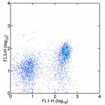 Monoclonal Rat anti-Mouse CCR7 Antibody (clone 4B12, PE,Cy7)