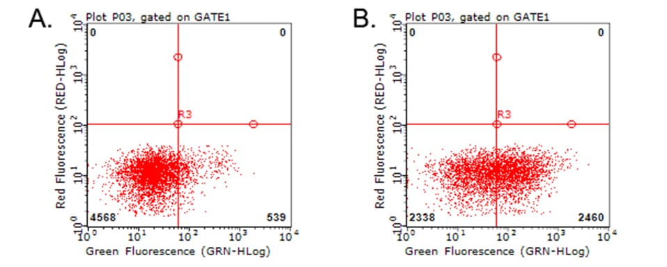 Monoclonal Mouse anti-Human HAVCR2 / TIM-3 Antibody (clone OTI10B1, WB)
