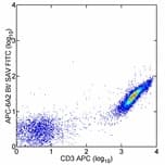 Monoclonal Mouse Allophycocyanin Antibody (clone APC-6A2, Biotin)