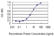 Monoclonal Mouse anti-Human ZNF10 / KOX1 Antibody (clone 1E1, WB)