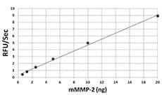 Mouse MMP2 Protein (Recombinant)