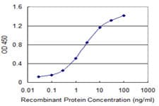 GATA3 Antibody (clone 1C1)