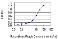 Monoclonal Mouse anti-Human SLC22A4 / OCTN1 Antibody (clone 2D3)