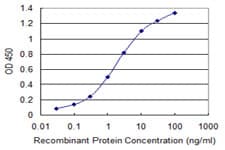 Calneuron-1 / CALN1 Antibody (clone 2G5)