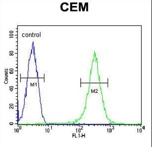 INPP5B Antibody (aa950-979)